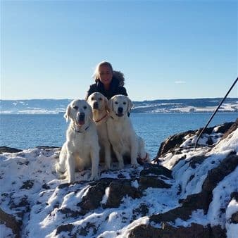 Fra kennel Hikristo