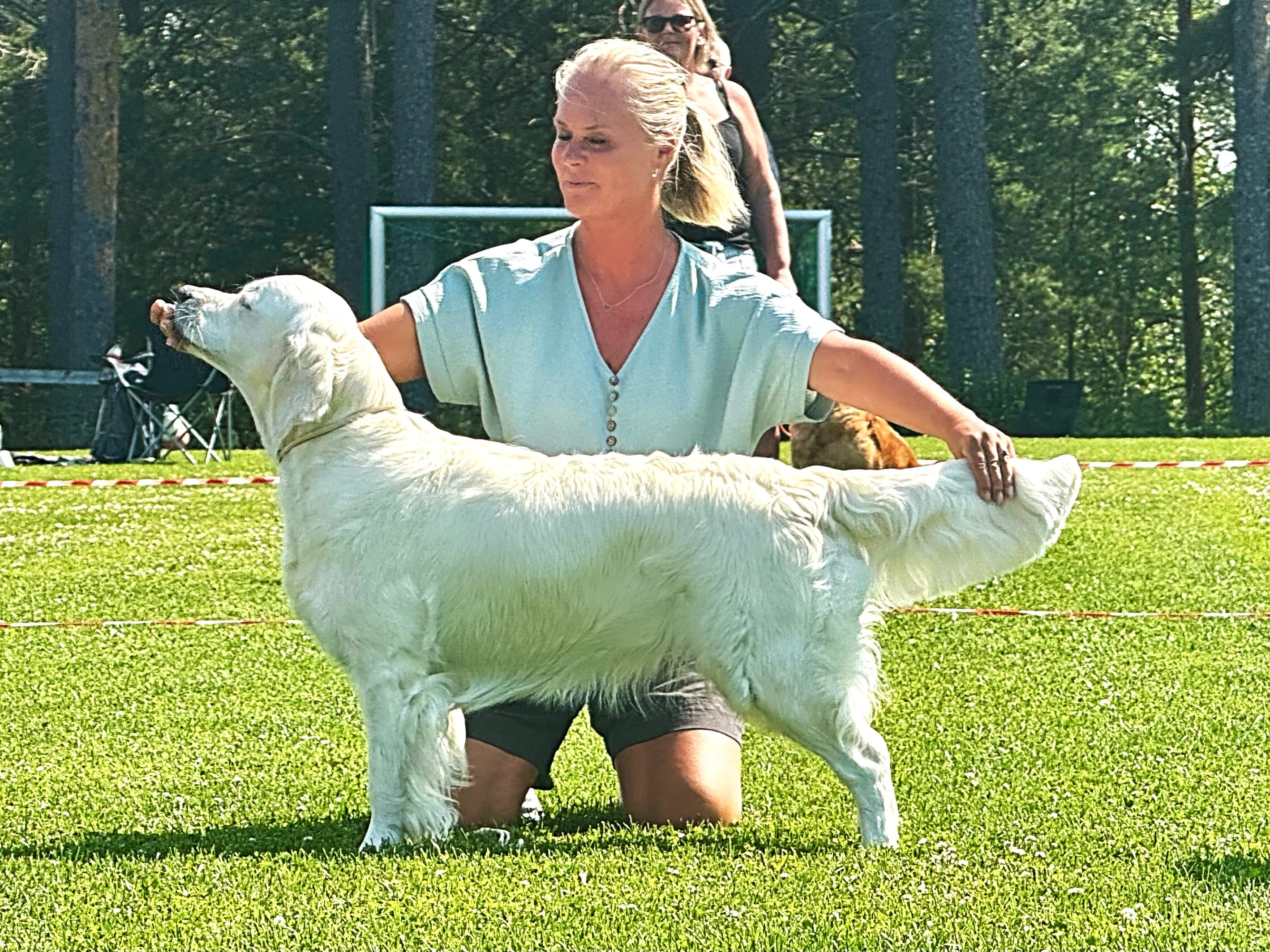 Wilma